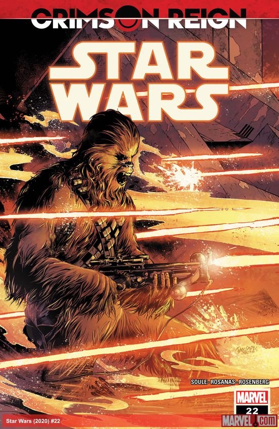 Cover of Star Wars (2020) - #22