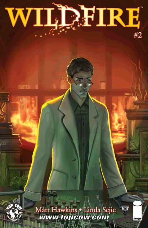 Cover of Wildfire (2014) - #2
