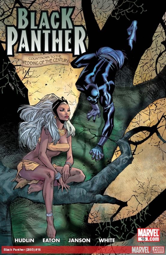 Cover of Black Panther (2005) - #16