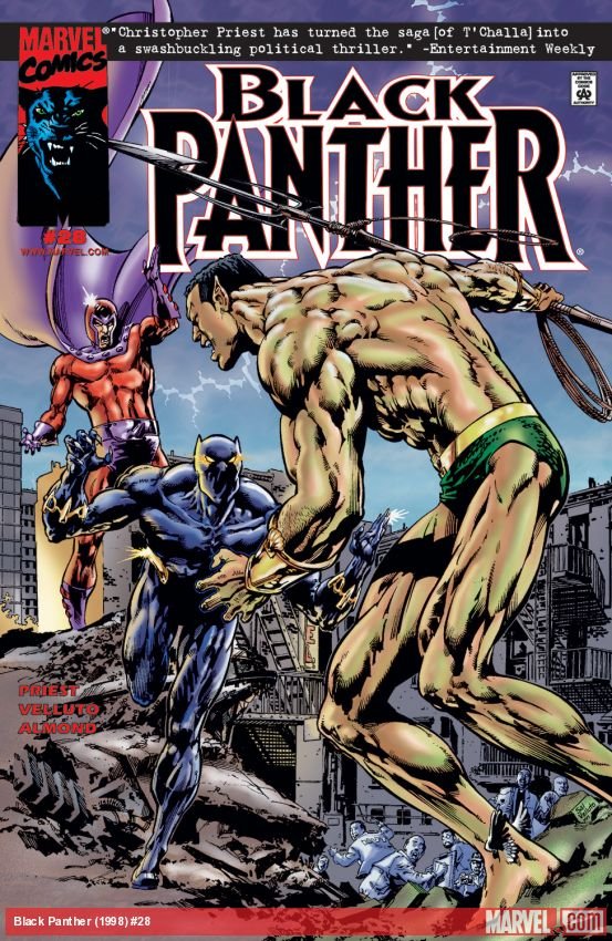 Cover of Black Panther (1998) - #28