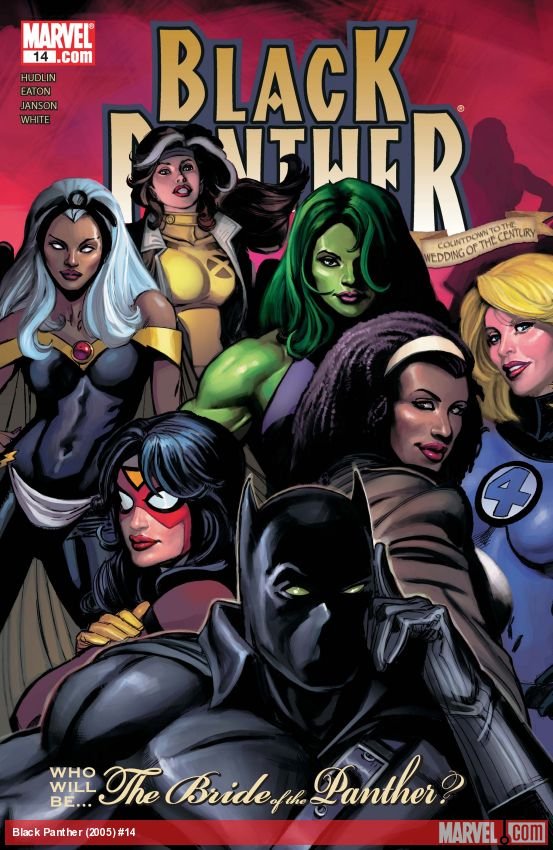 Cover of Black Panther (2005) - #14