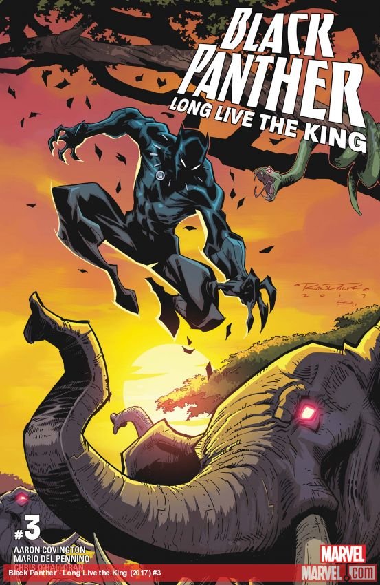 Cover of Black Panther - Long Live The King: Cmx Digital Comic (2017) - #3
