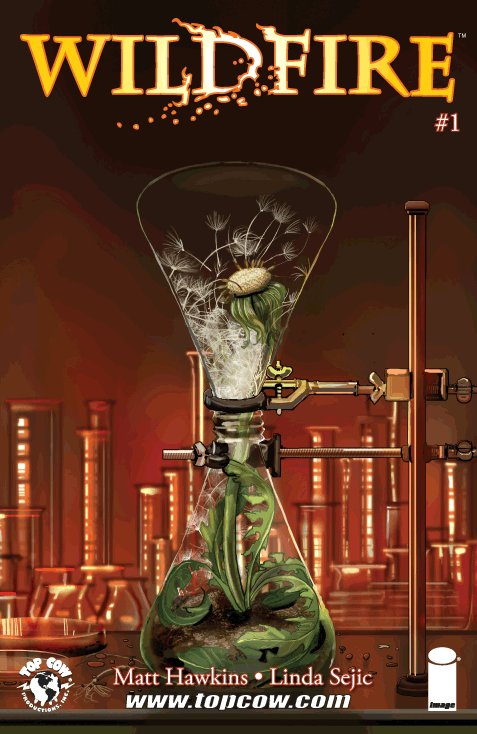 Cover of Wildfire (2014) - #1