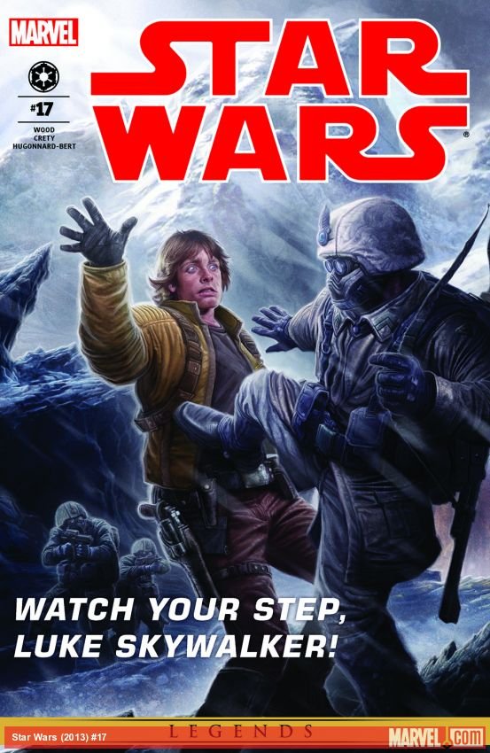 Cover of Star Wars (2013) - #17