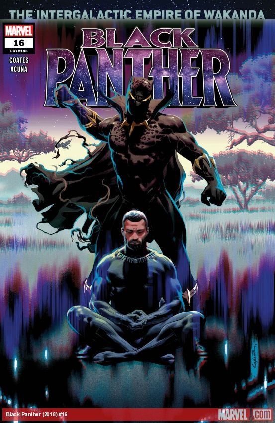 Cover of Black Panther (2018) - #16