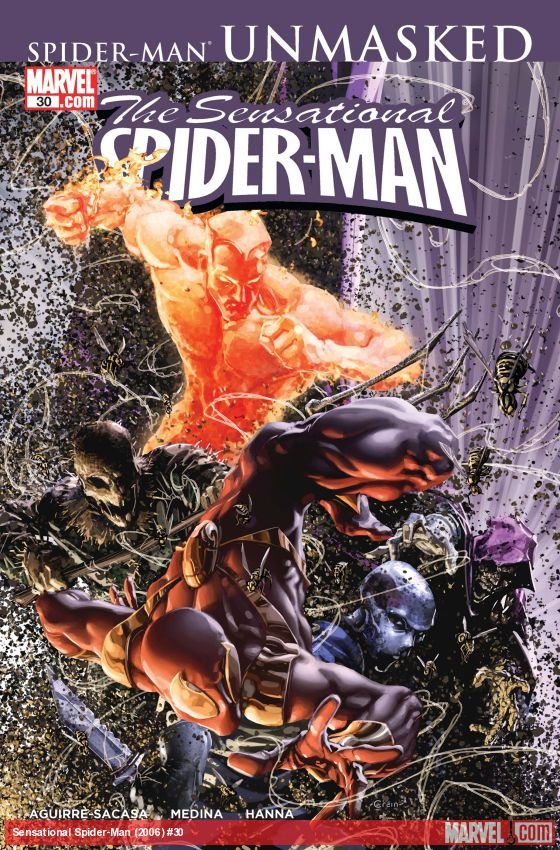 Cover of The Sensational Spider-Man (2006) - #30