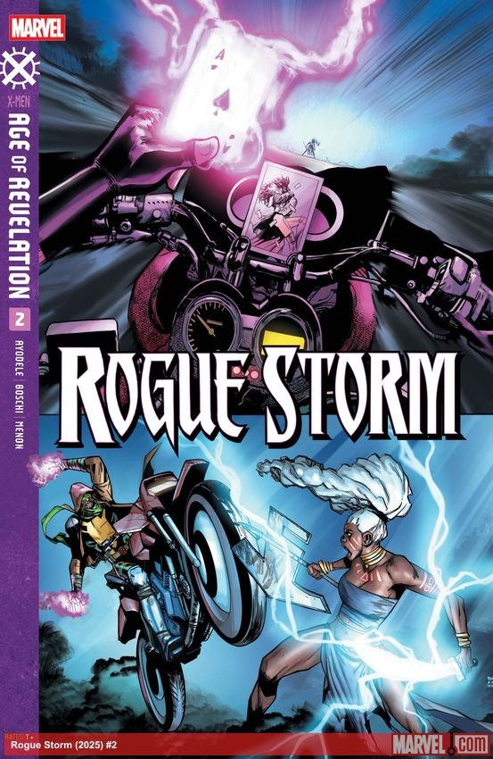 Cover of Rogue Storm (2025) - #2