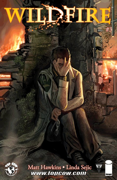 Cover of Wildfire (2014) - #3