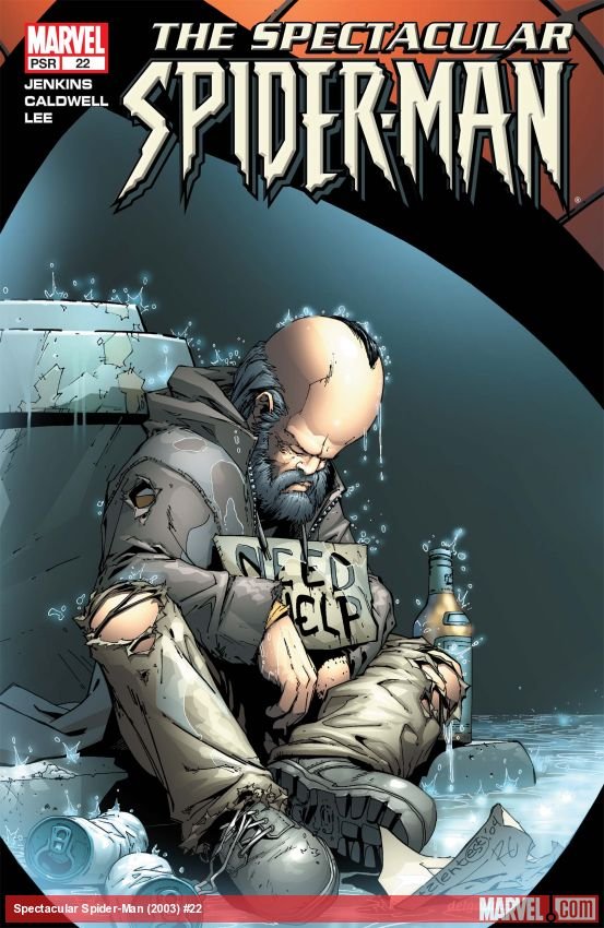 Cover of Spectacular Spider-Man (2003) - #22