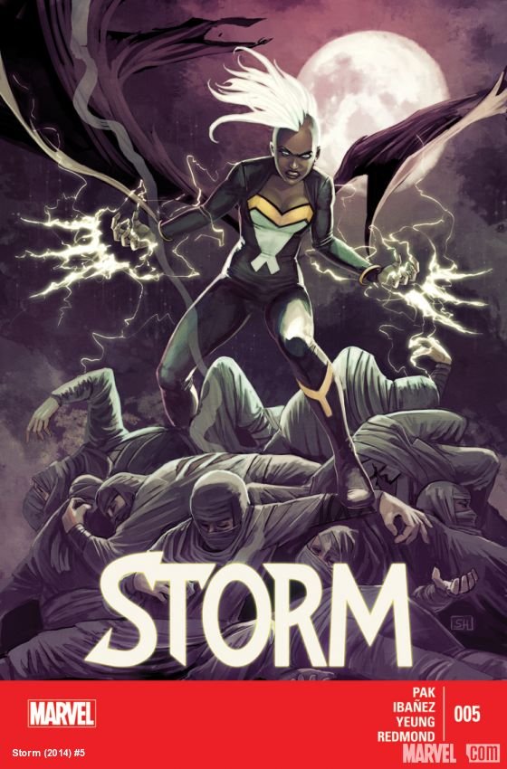 Cover of Storm (2014) - #5
