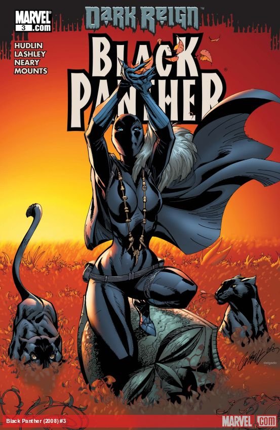 Cover of Black Panther (2009) - #3