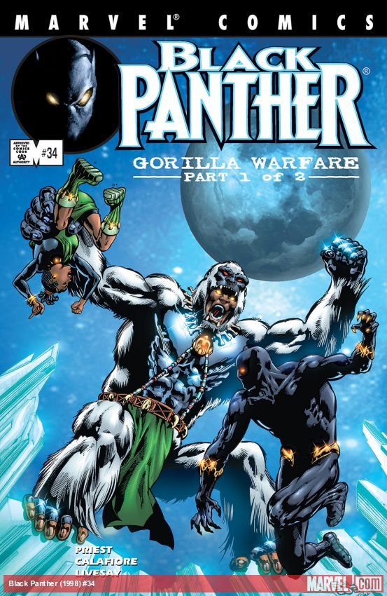 Cover of Black Panther (1998) - #34