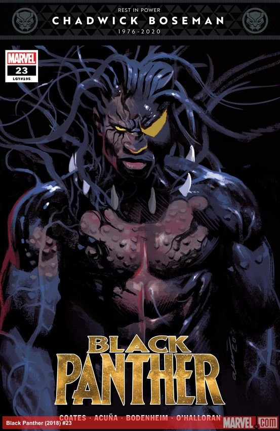 Cover of Black Panther (2018) - #23