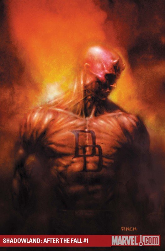 Cover of Shadowland: After The Fall (2010) - #1