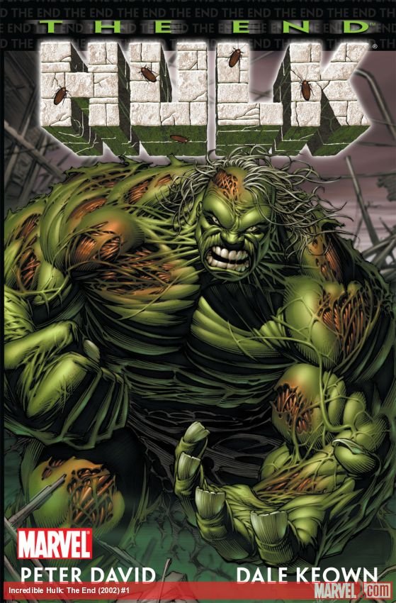 Cover of Incredible Hulk: The End (2002) - #1