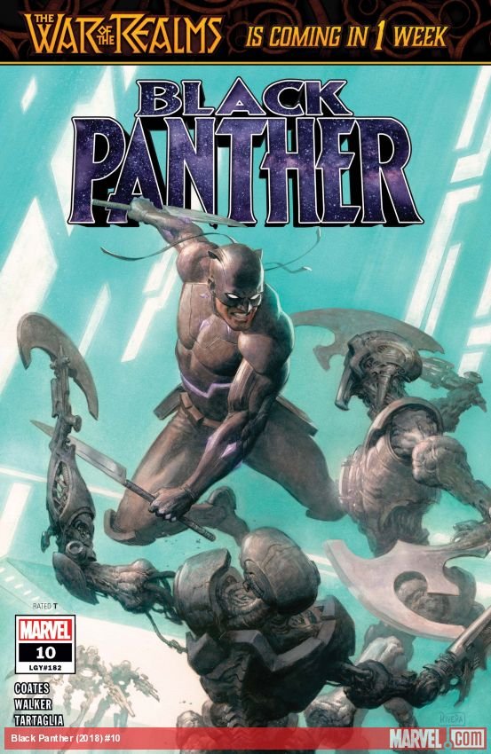 Cover of Black Panther (2018) - #10