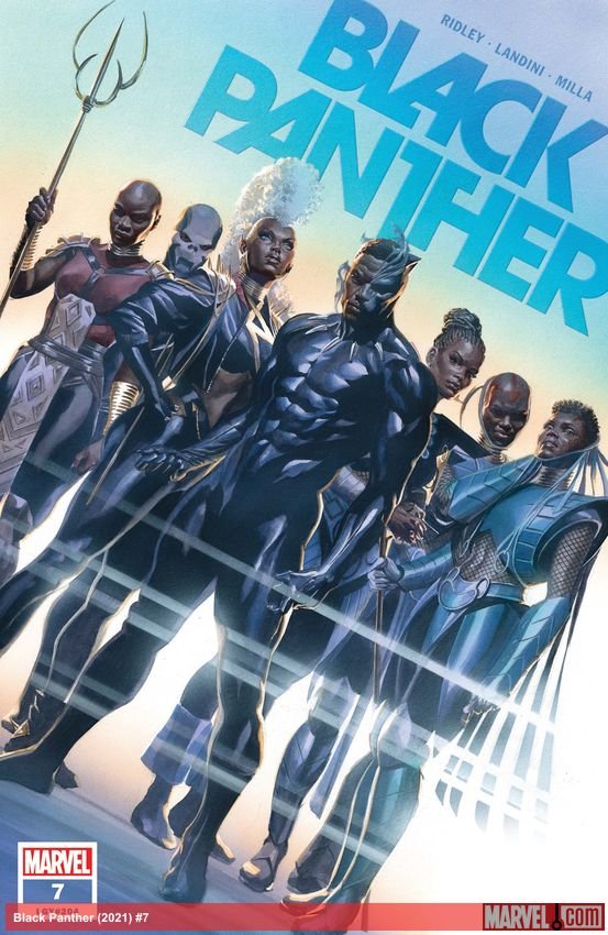 Cover of Black Panther (2021) - #7
