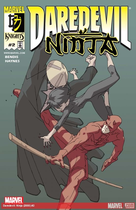 Cover of Daredevil Ninja (2000) - #2