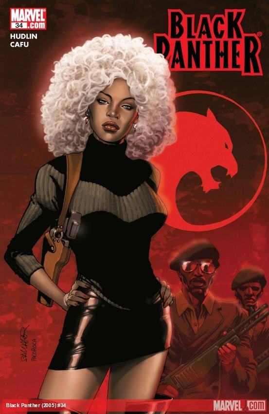 Cover of Black Panther (2005) - #34
