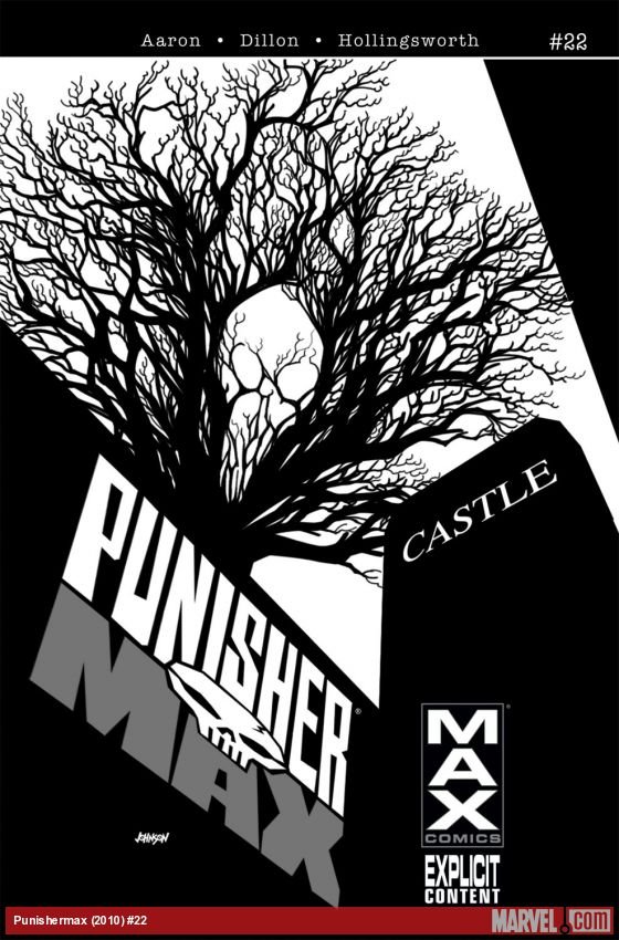 Cover of Punishermax (2009) - #22