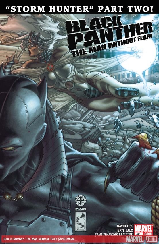 Cover of Black Panther: The Man Without Fear (2010) - #520
