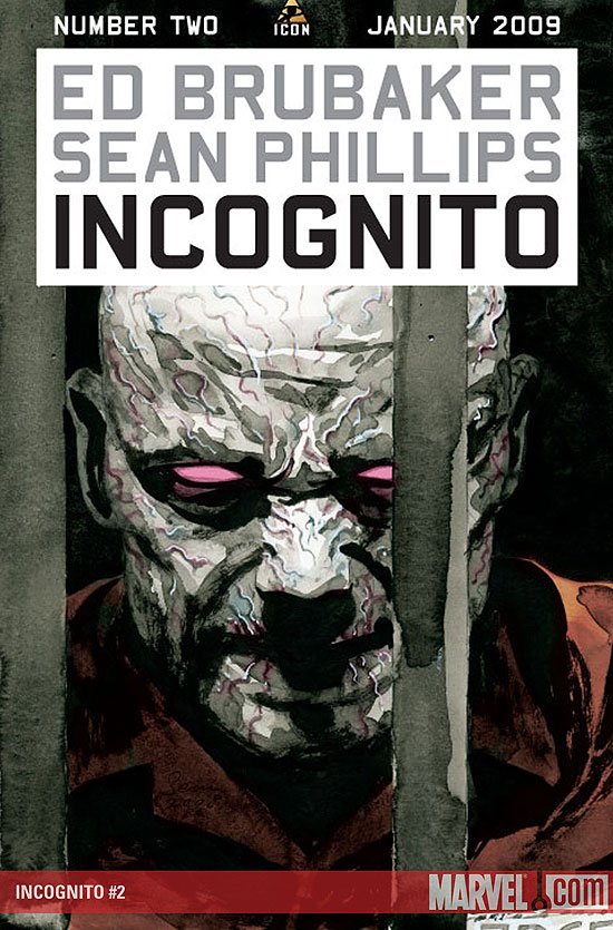 Cover of Incognito (2008) - #2
