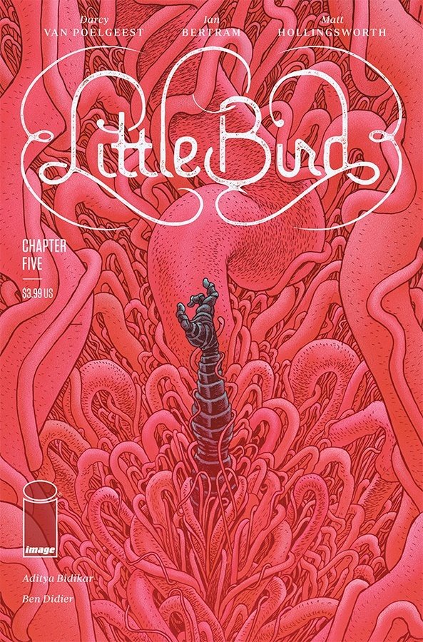 Cover of Little Bird (2019) - #5