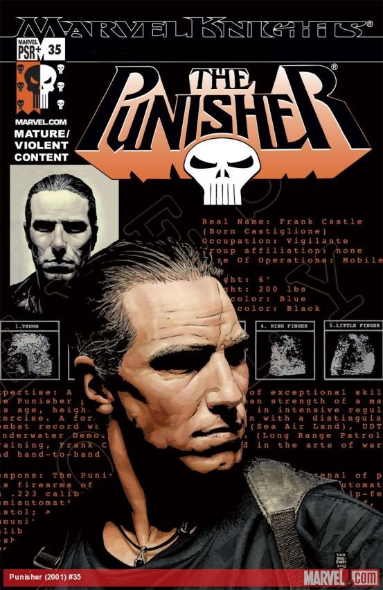Cover of Punisher (2001) - #35