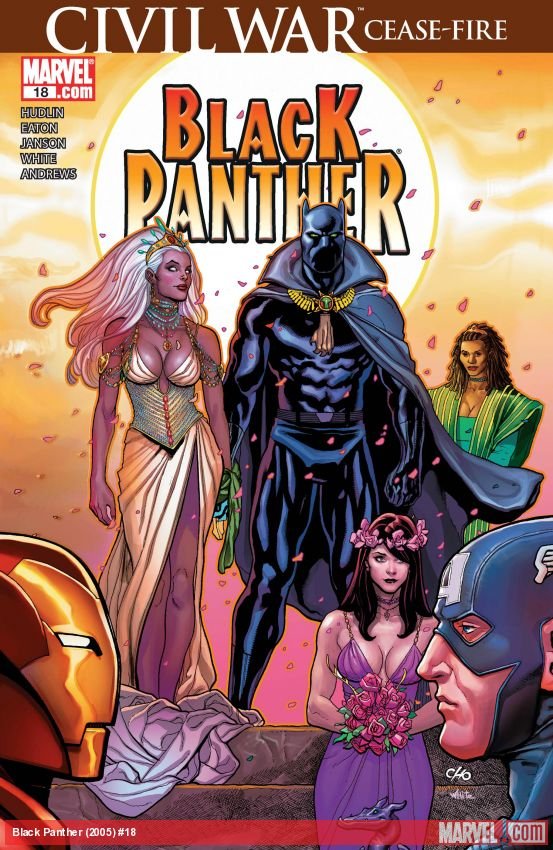 Cover of Black Panther (2005) - #18