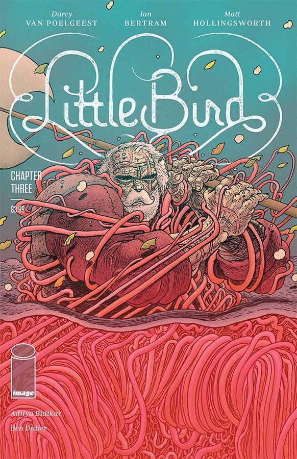Cover of Little Bird (2019) - #3