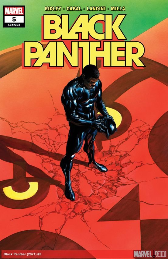 Cover of Black Panther (2021) - #5