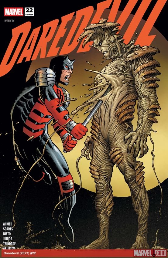 Cover of Daredevil (2023) - #22
