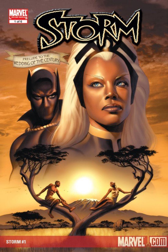 Cover of Storm (2006) - #1