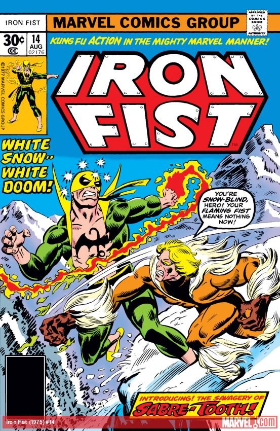 Cover of Iron Fist (1975) - #14