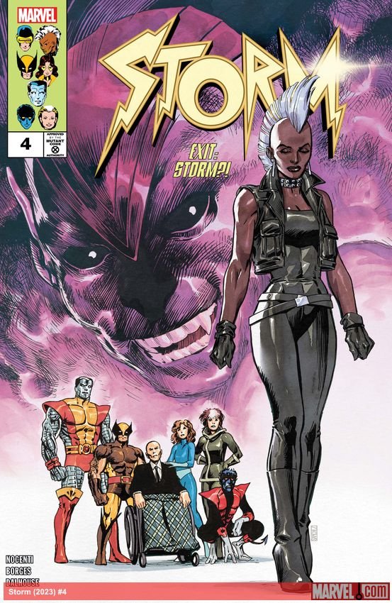 Cover of Storm (2023) - #4