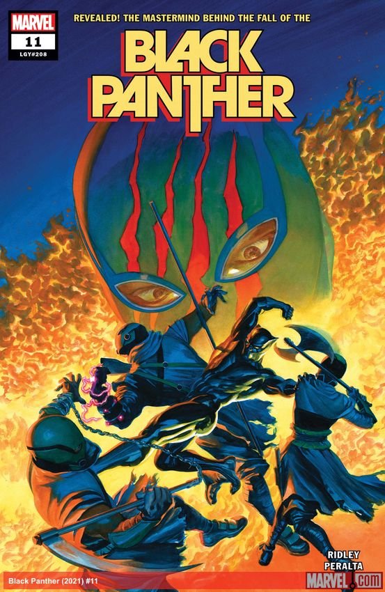 Cover of Black Panther (2021) - #11