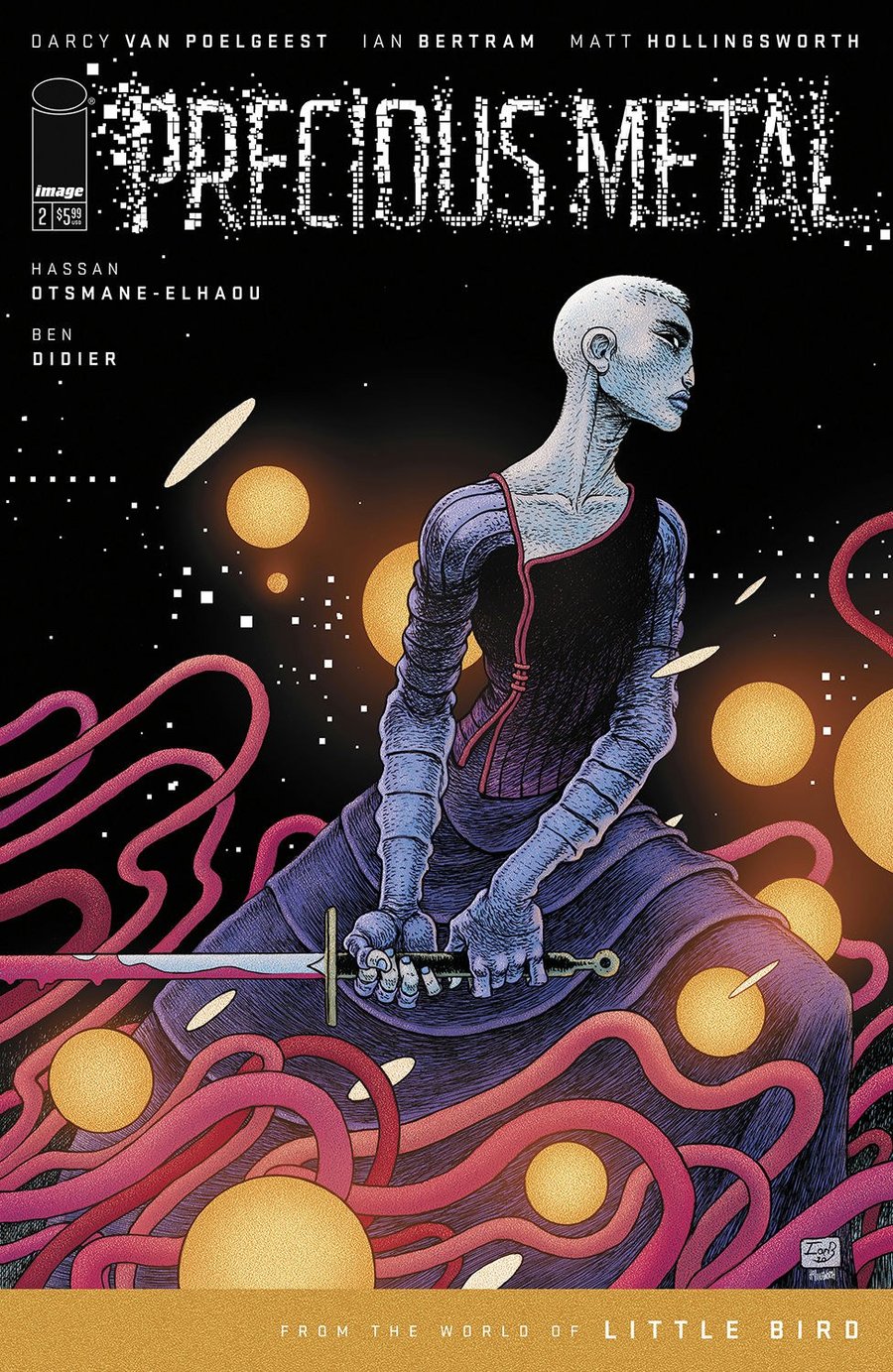 Cover of Precious Metal (2024) - #2