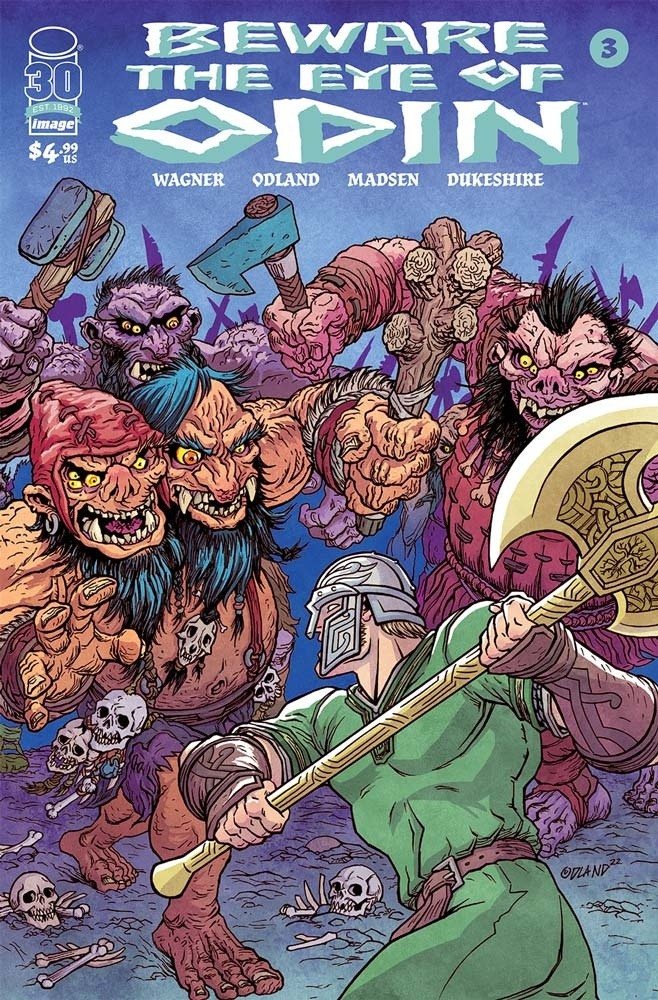 Cover of Beware the Eye of Odin (2022) - #3