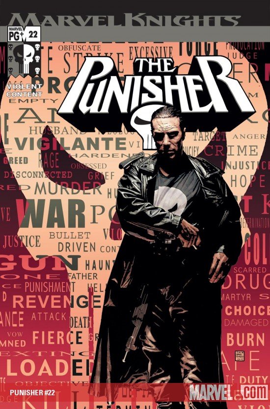 Cover of Punisher (2001) - #22